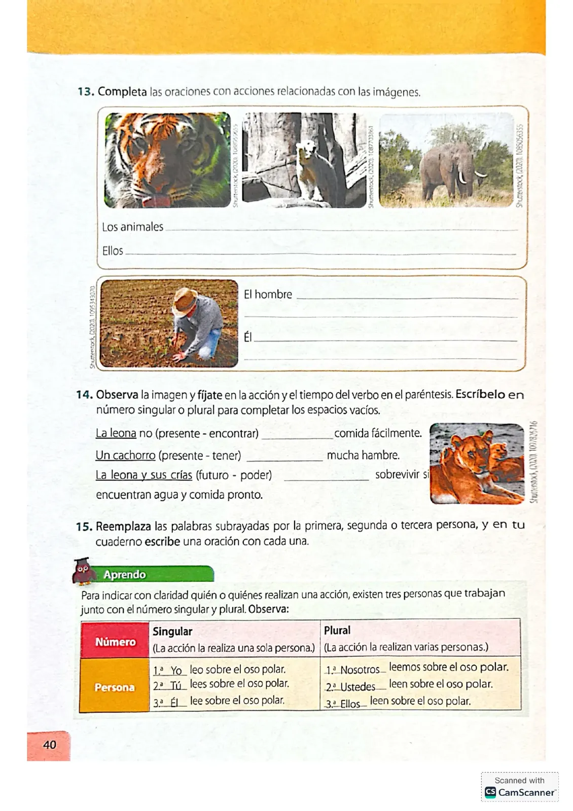 Miniatura página 40 de Lengua Y Literatura · 4 EGB · 2024