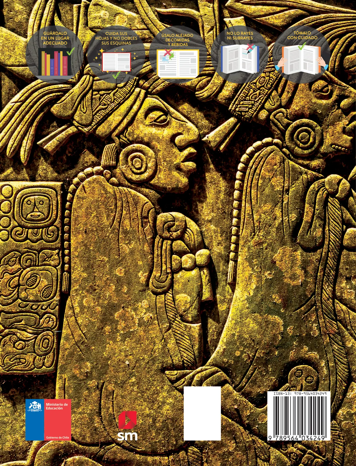 Página 172 de Historia, Geografía y Ciencias Sociales – Séptimo Básico | Texto del Estudiante MINEDUC – Descargar PDF · 2024