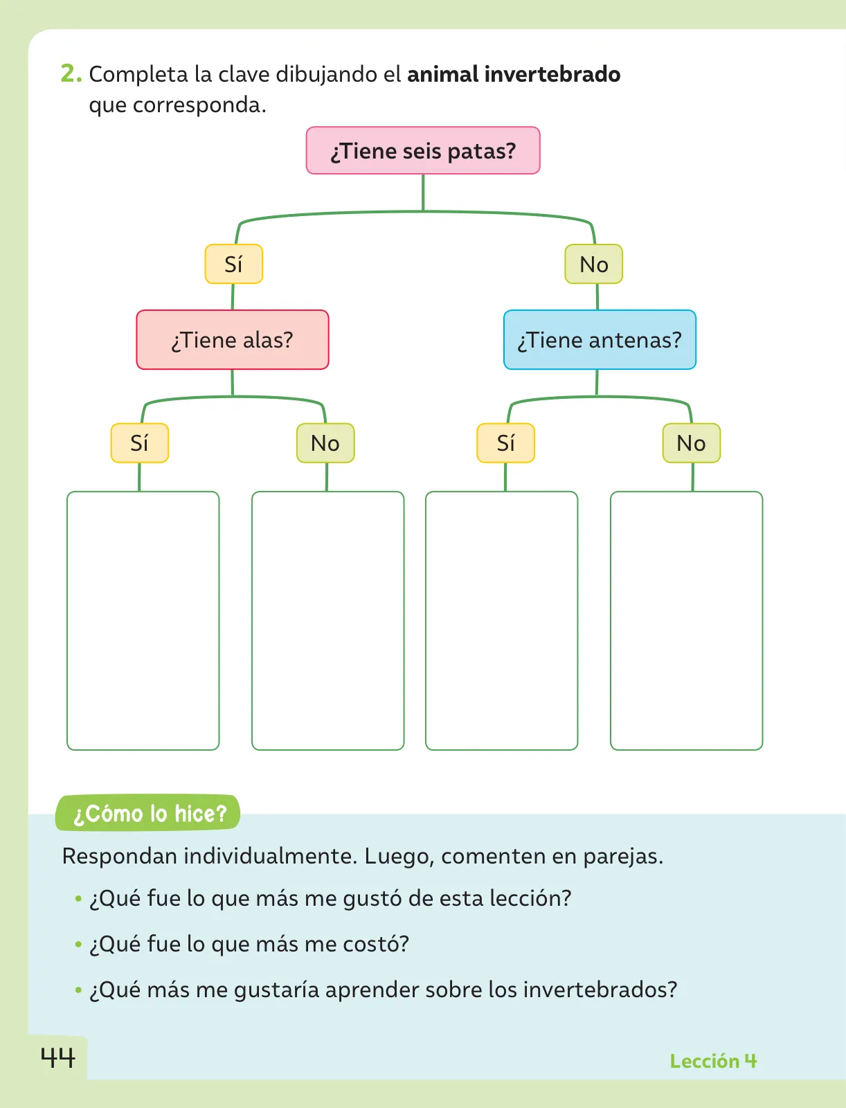 Pág 45