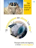 Miniatura página 20 de Múltiples lenguajes.   Libro de Educación Primaria Grado 1°  Ciclo Escolar 2025 - 2026
