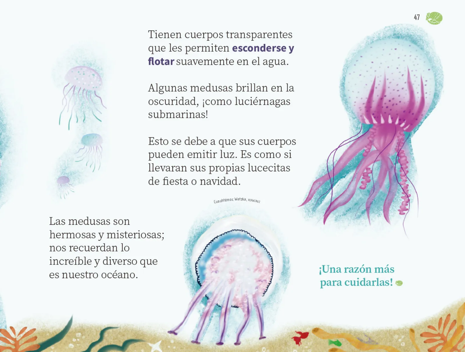 Página 48 de Múltiples lenguajes. Libro de Educación Preescolar Grado 1° Ciclo Escolar 2025 - 2026