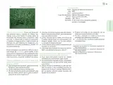 Miniatura página 168 de Posibilidades de trabajo para la acción transformadora y el codiseño. Ficheros. Fase 2  Libro de Educación Preescolar Grado 1°, 2°, 3°  Ciclo Escolar 2025 - 2026
