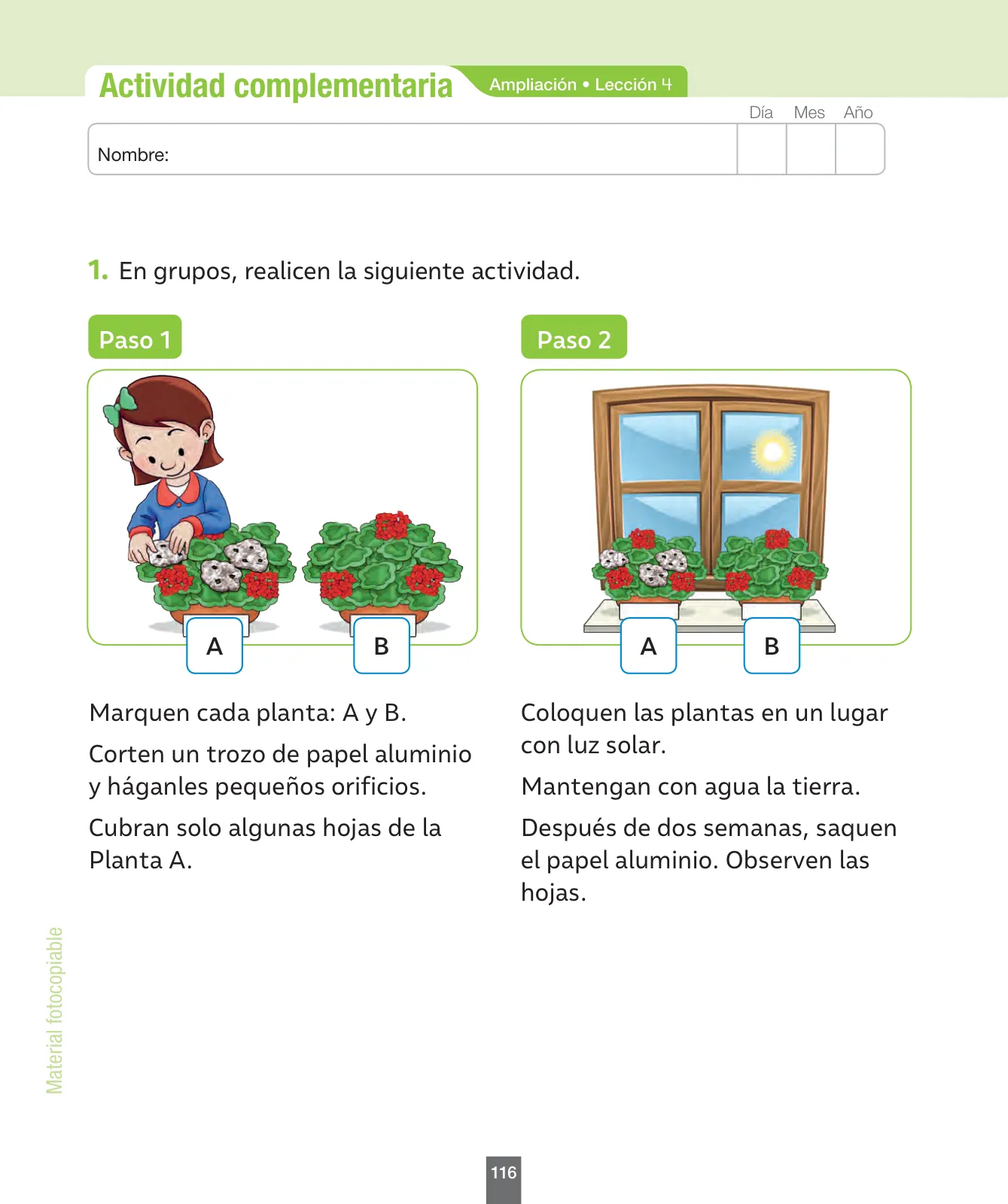Miniatura página 117 de Ciencias Naturales – Primero Básico | Texto del Estudiante (MINEDUC) – Descargar PDF · 2024