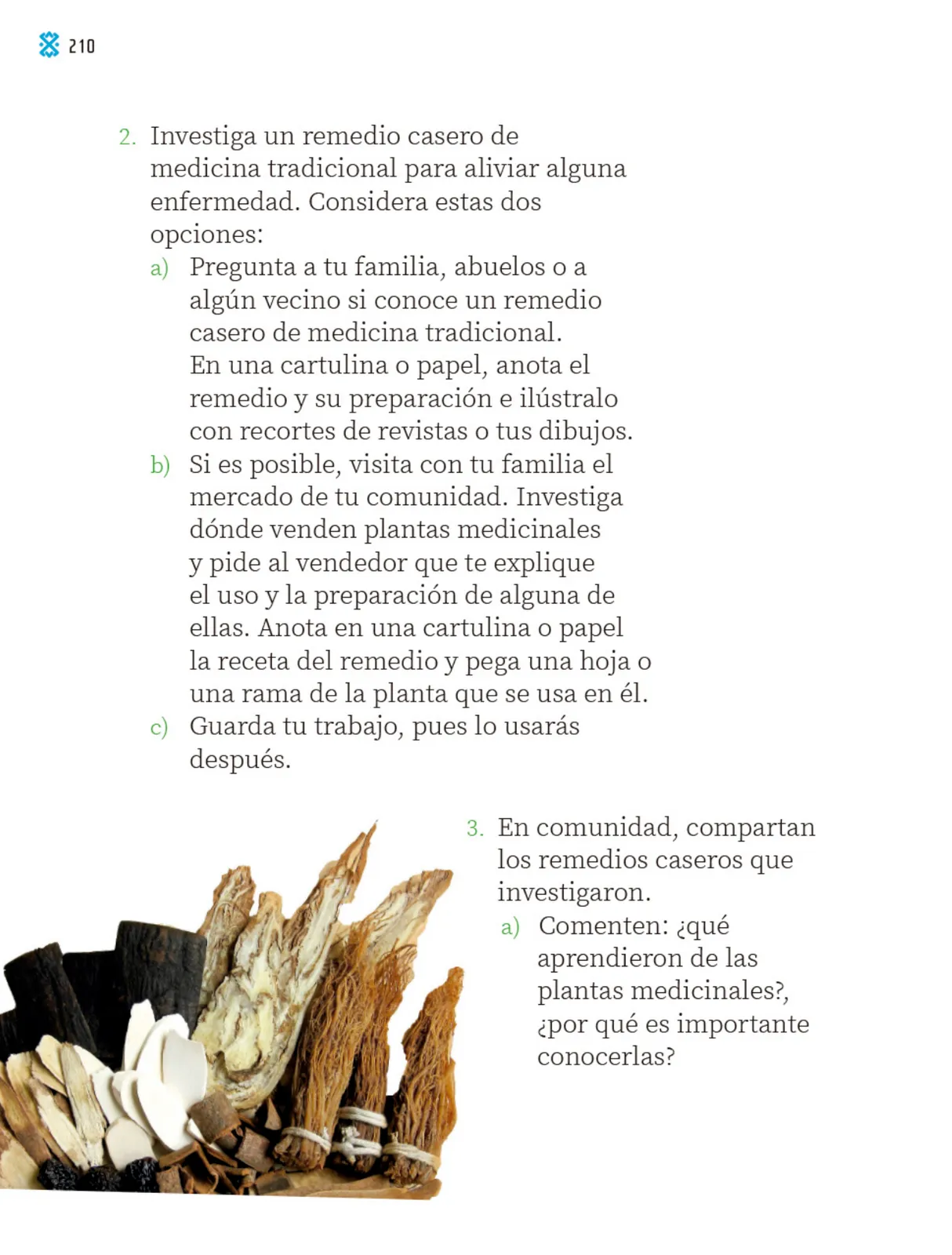 Página 213 de Proyectos Comunitarios.   Libro de Educación Primaria Grado 2°  Ciclo Escolar 2025 - 2026