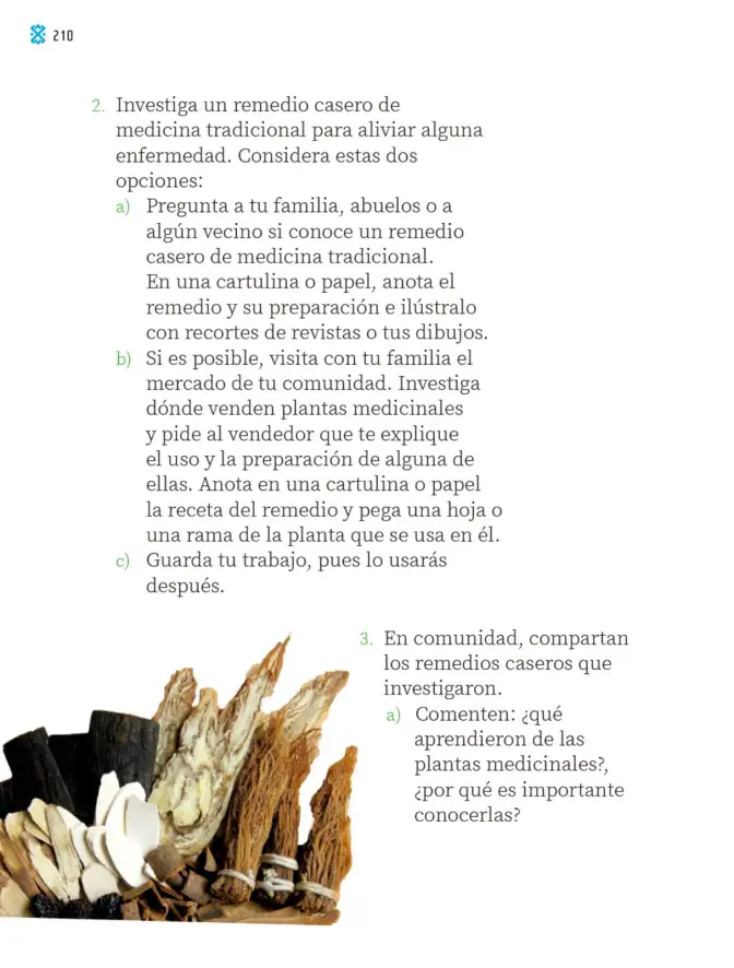 Página 213 de Proyectos Comunitarios. Libro de Educación Primaria Grado 2° Ciclo Escolar 2025 - 2026