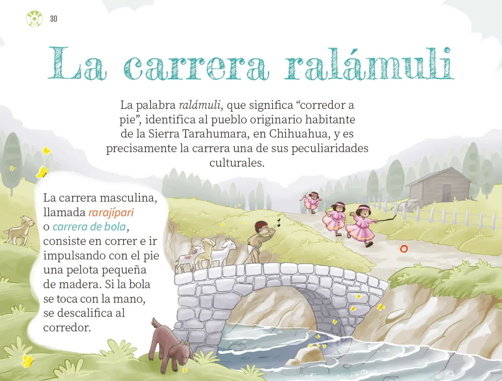 Miniatura página 31 de Múltiples lenguajes.   Libro de Educación Preescolar Grado 3°  Ciclo Escolar 2025 - 2026