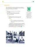 Miniatura página 246 de Colección Sk´asolil. Nuestro libro de Proyectos. Tomo I.    Libro de Educación Telesecundaria Grado 2°  Ciclo Escolar 2025 - 2026