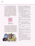 Miniatura página 191 de Nuestros saberes: Libro para alumnos, maestros y familia.   Libro de Educación Primaria Grado 4°  Ciclo Escolar 2025 - 2026