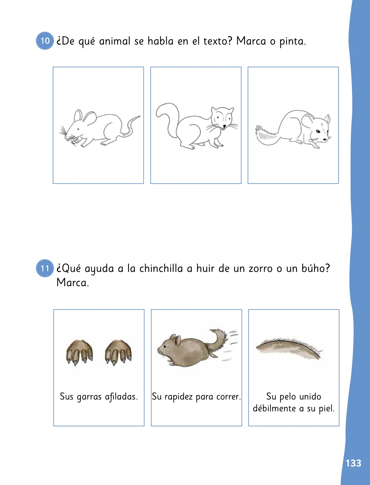 Miniatura página 136 de Lenguaje y Comunicación – Primero Básico | Texto del Estudiante MINEDUC – Descargar PDF · 2024