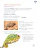 Miniatura página 37 de Lenguaje y Comunicación – Segundo Básico – Texto del Estudiante MINEDUC – Descargar PDF · 2024