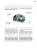 Miniatura página 12 de Crianza para la libertad. Libro para las familias. Fase 2  Libro de Educación Preescolar Grado 1°, 2°, 3°  Ciclo Escolar 2025 - 2026