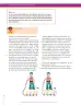 Miniatura página 212 de Ciencias Naturales 8° · Secundaria Activa