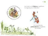 Miniatura página 60 de Múltiples lenguajes.   Libro de Educación Preescolar Grado 1°  Ciclo Escolar 2025 - 2026