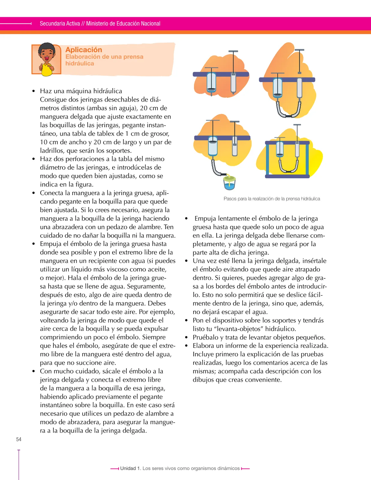 Miniatura página 54 de Ciencias Naturales 8° · Secundaria Activa