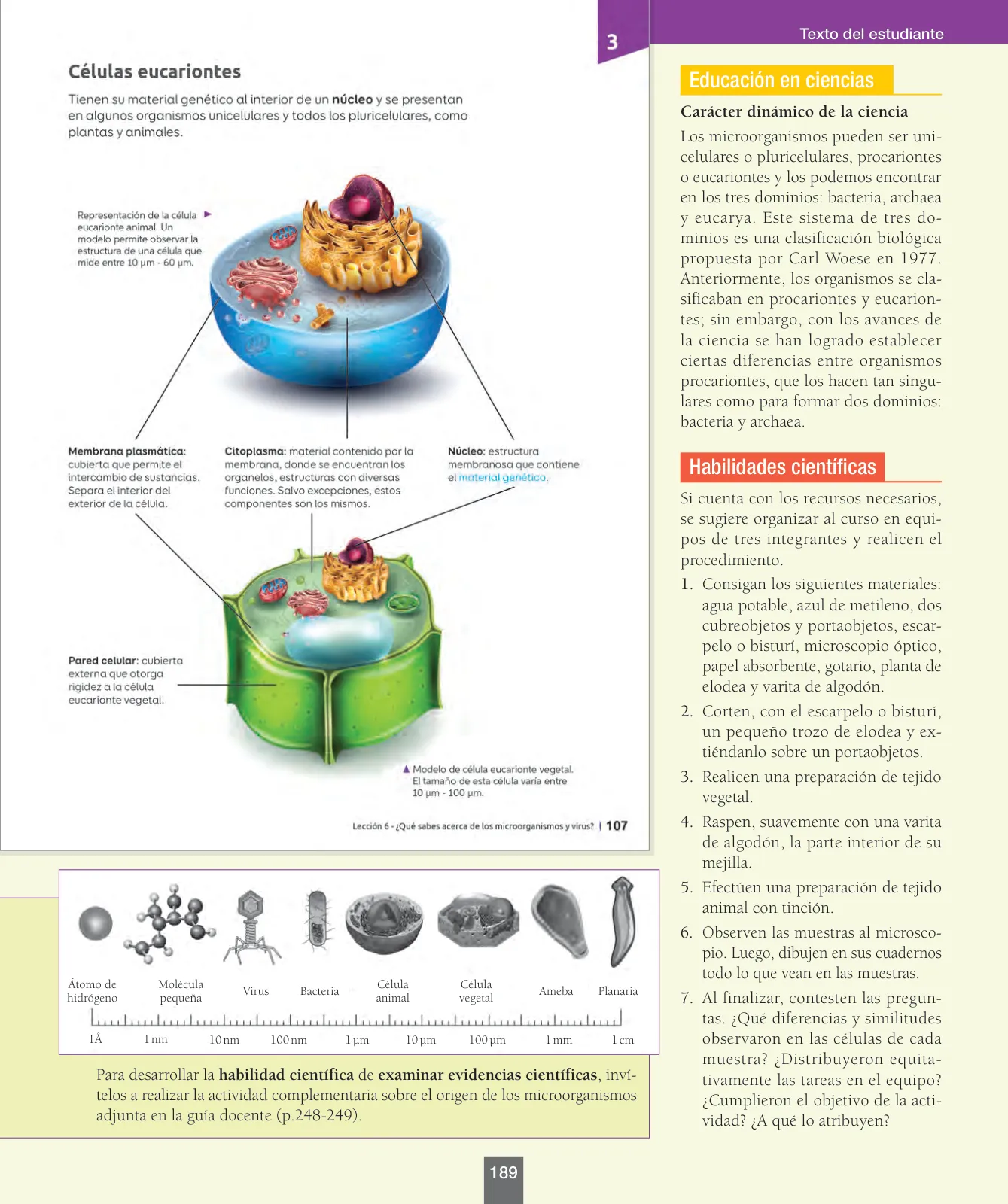Página 14 de Ciencias Naturales – Séptimo Básico | Texto del Estudiante MINEDUC – Descargar PDF · 2024
