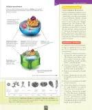 Miniatura página 14 de Ciencias Naturales – Séptimo Básico | Texto del Estudiante MINEDUC – Descargar PDF · 2024