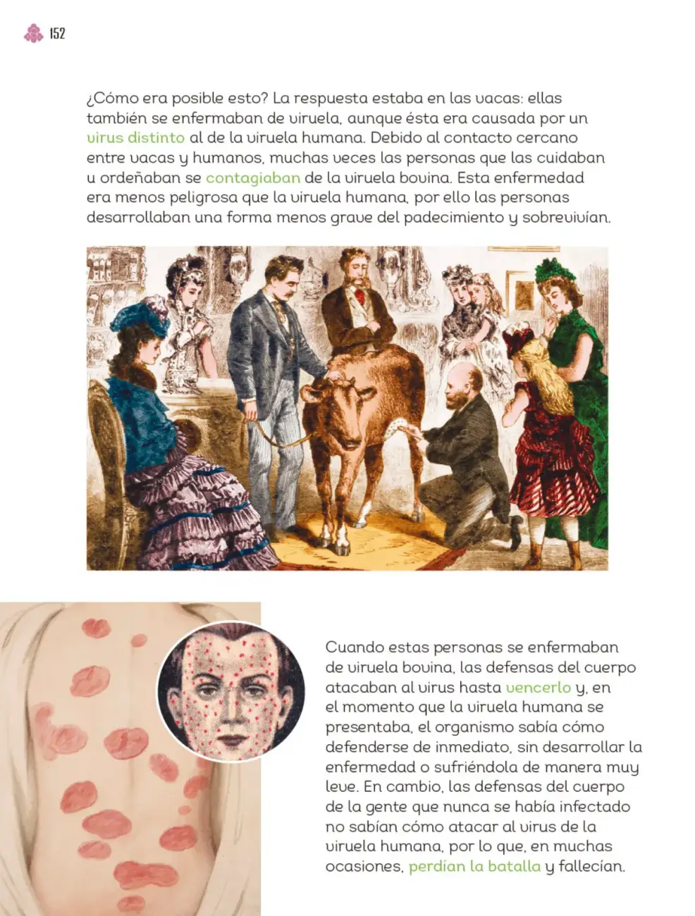 Página 153