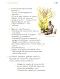 Miniatura página 34 de Proyectos Comunitarios.   Libro de Educación Primaria Grado 2°  Ciclo Escolar 2025 - 2026