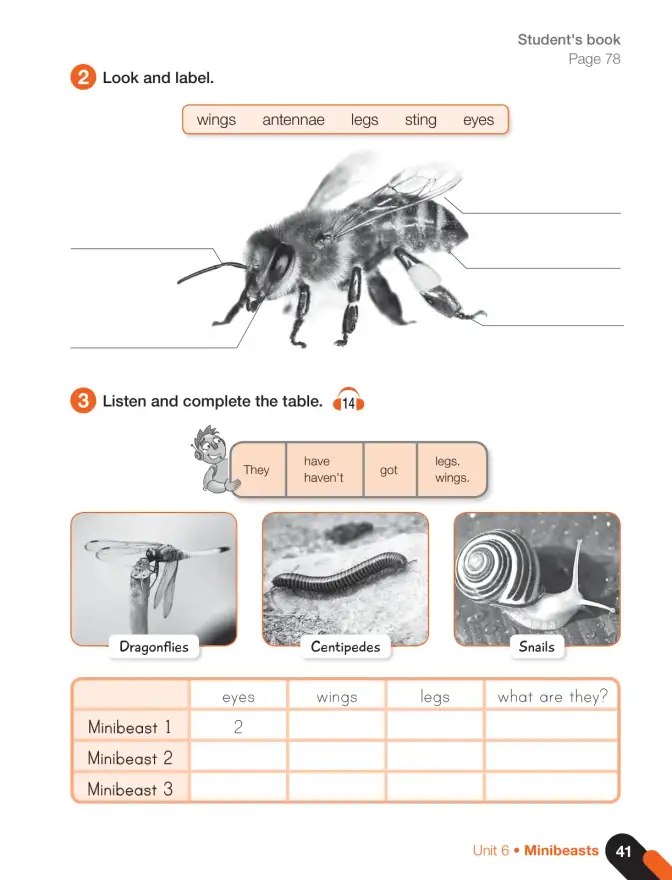 Página 43 de Inglés – Cuarto Básico | Texto del Estudiante MINEDUC – Descargar PDF · 2024