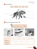 Miniatura página 43 de Inglés – Cuarto Básico | Texto del Estudiante MINEDUC – Descargar PDF · 2024