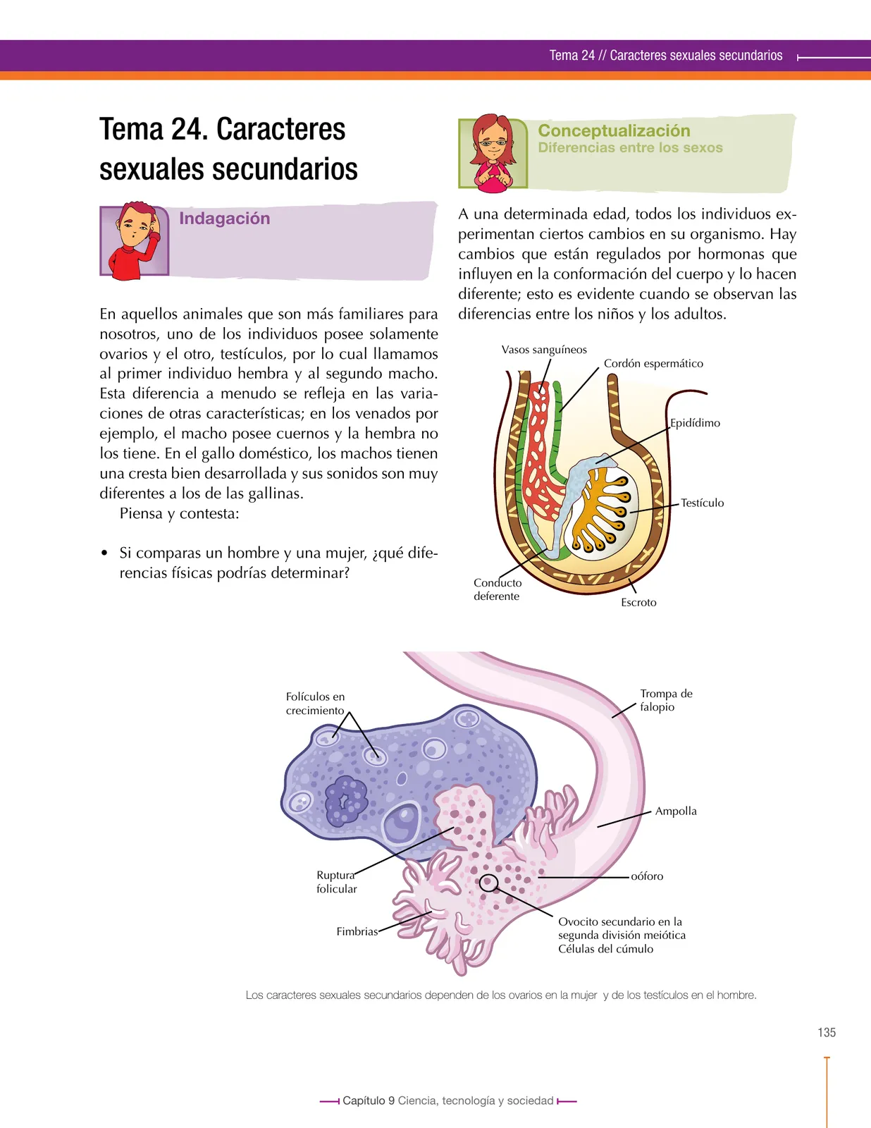 Miniatura página 135 de Ciencias Naturales 8° · Secundaria Activa