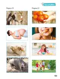 Miniatura página 104 de Ciencias Naturales – Primero Básico | Texto del Estudiante (MINEDUC) – Descargar PDF · 2024