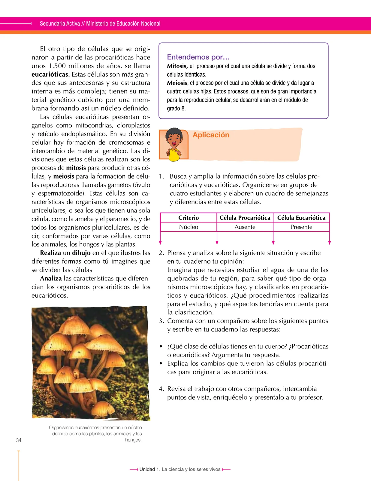 Miniatura página 34 de Ciencias Naturales 6° · Secundaria Activa