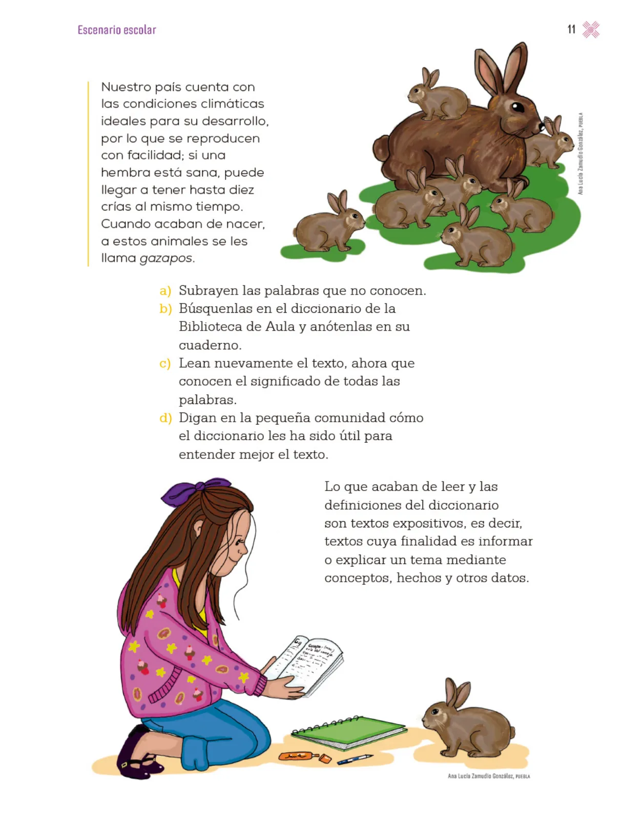 Página 14 de Proyectos Escolares. Libro de Educación Primaria Grado 3° Ciclo Escolar 2025 - 2026