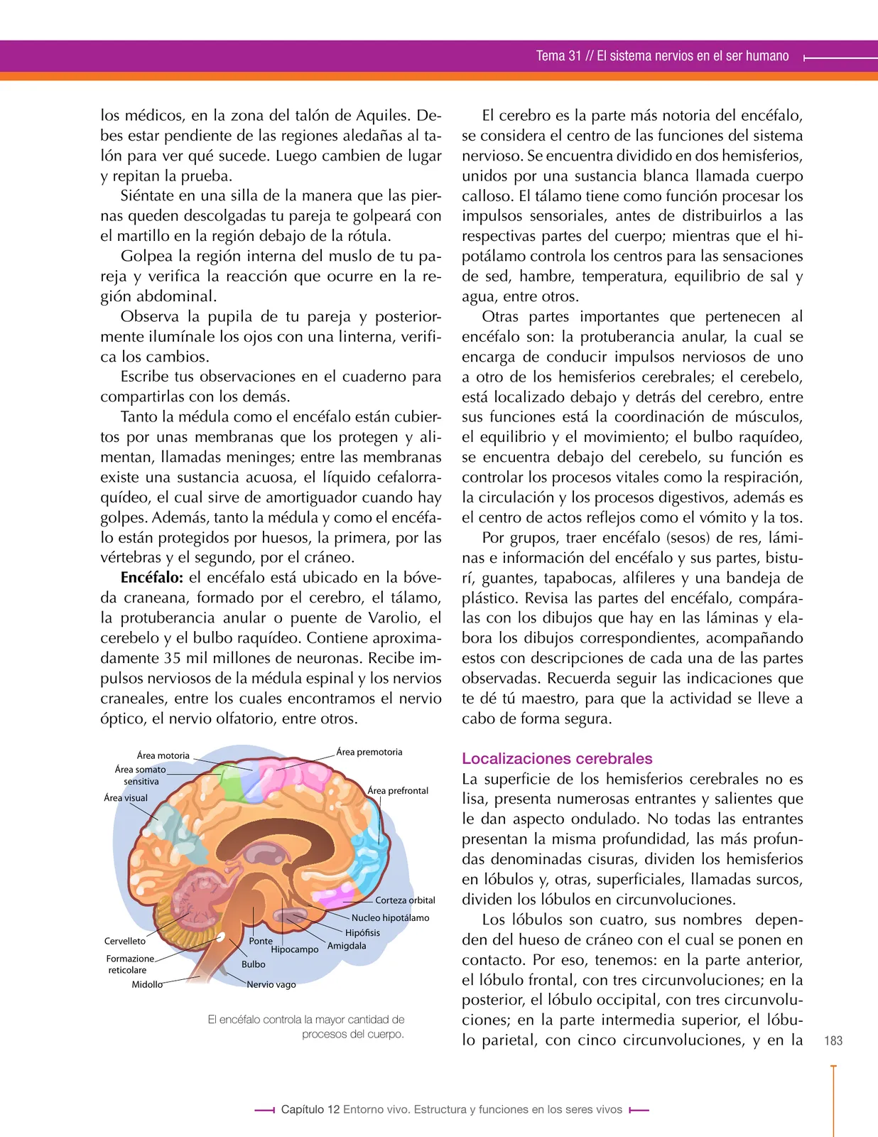 Página 183 de Ciencias Naturales 8° · Secundaria Activa