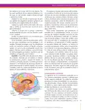 Miniatura página 183 de Ciencias Naturales 8° · Secundaria Activa