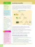Miniatura página 14 de Ciencias Naturales 6° · Egb 6 Ciencias Naturales 2025 · 2025