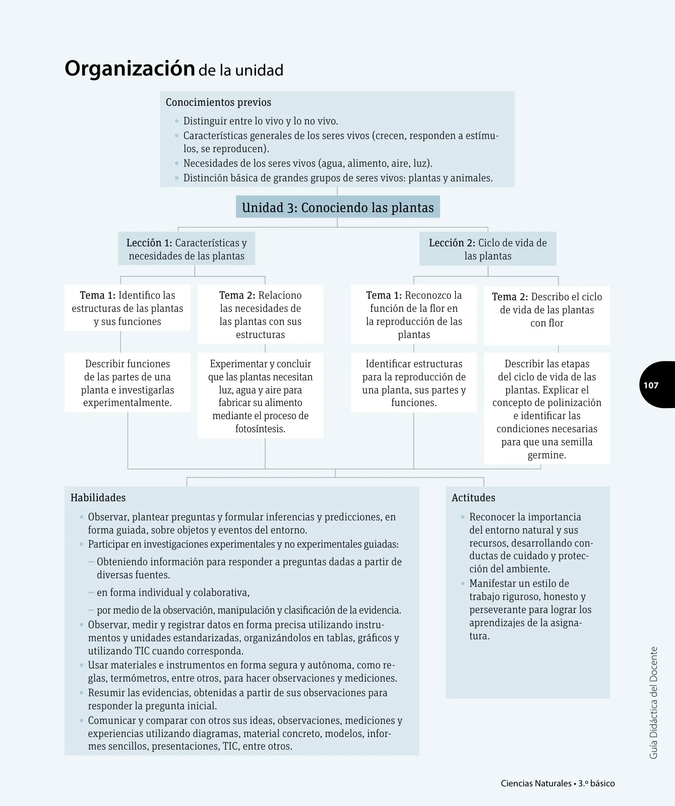 Miniatura página 8 de Ciencias Naturales – Tercero Básico | Texto del Estudiante MINEDUC – Descargar PDF · 2024