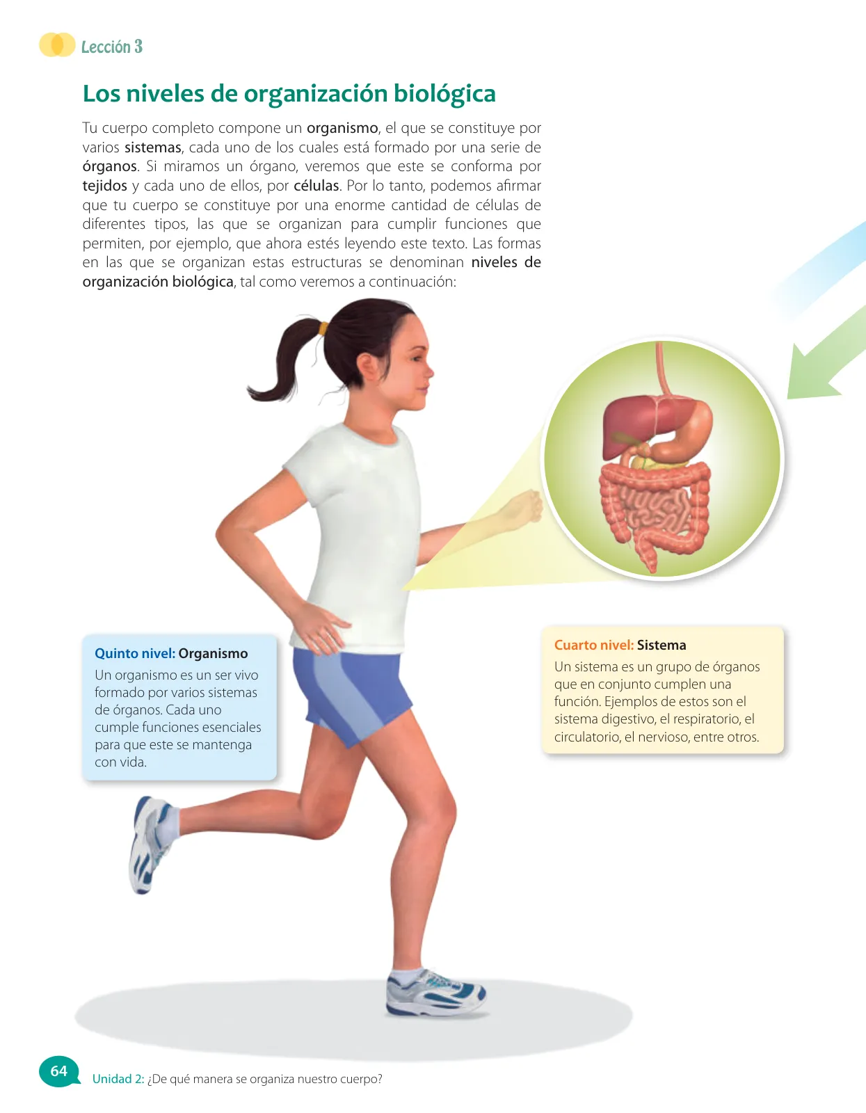 Miniatura página 142 de Libro de Ciencias Naturales – Quinto Básico | Texto del Estudiante MINEDUC – Descargar PDF · 2024