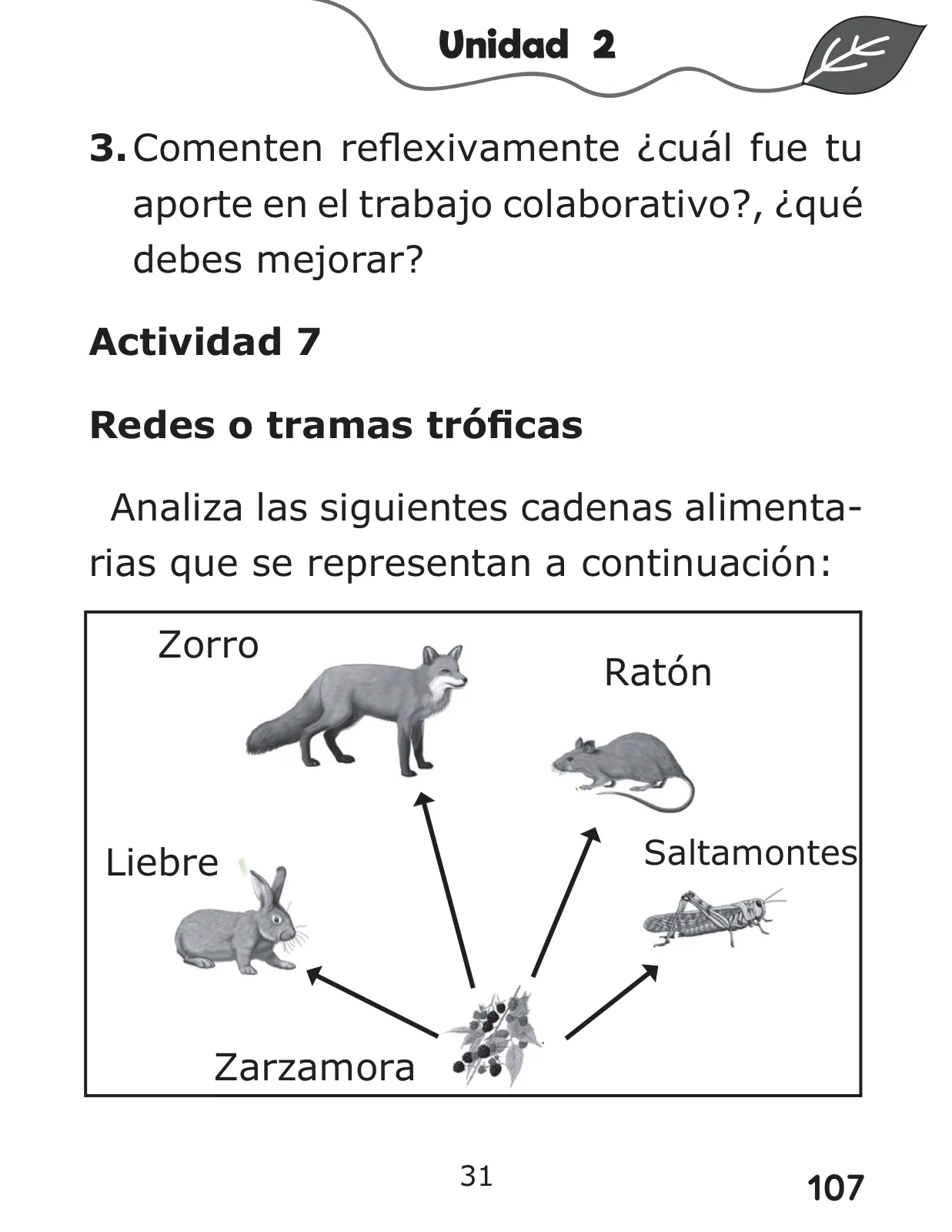 Miniatura página 107 de Libro de Ciencias Naturales – Quinto Básico | Texto del Estudiante MINEDUC – Descargar PDF · 2024