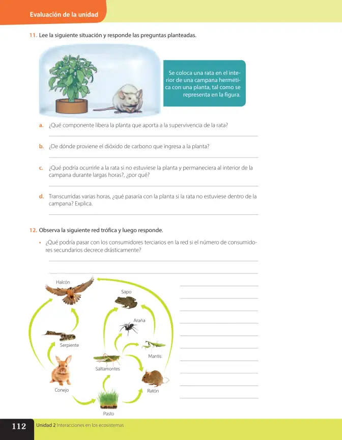Página 179 de Libro de Ciencias Naturales – Quinto Básico | Texto del Estudiante MINEDUC – Descargar PDF · 2024