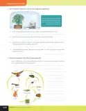 Miniatura página 179 de Libro de Ciencias Naturales – Quinto Básico | Texto del Estudiante MINEDUC – Descargar PDF · 2024