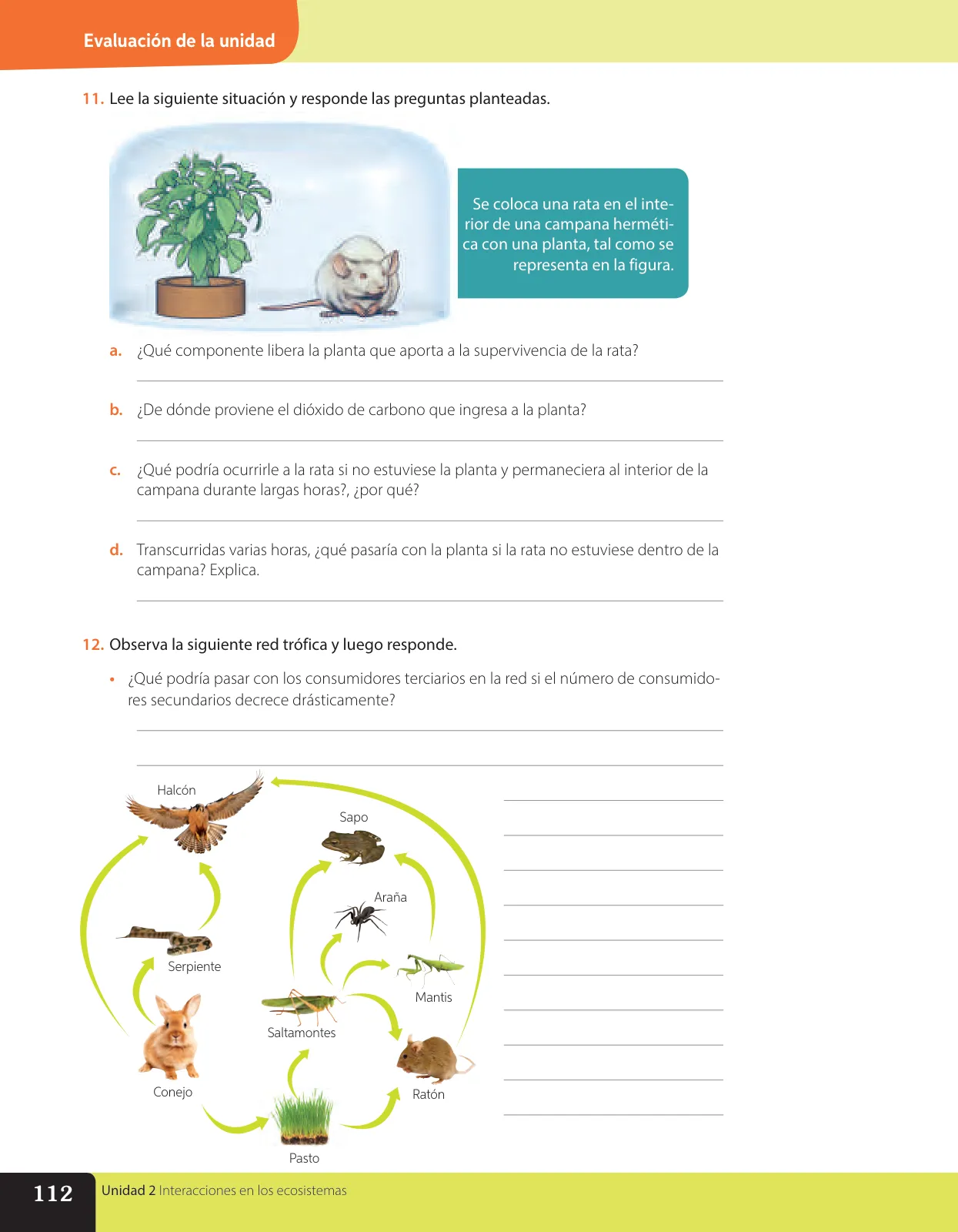 Miniatura página 179 de Libro de Ciencias Naturales – Quinto Básico | Texto del Estudiante MINEDUC – Descargar PDF · 2024