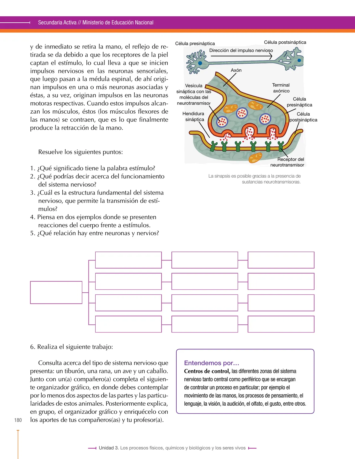 Miniatura página 180 de Ciencias Naturales 8° · Secundaria Activa