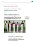 Miniatura página 234 de Colección Ximhai. Nuestro libro de Proyectos.  Tomo II.   Libro de Educación Telesecundaria Grado 1°  Ciclo Escolar 2025 - 2026