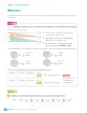 Miniatura página 134 de Matemática – Quinto Básico | Texto del Estudiante MINEDUC – Descargar PDF · 2024