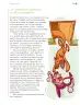 Miniatura página 60 de Proyectos de Aula.   Libro de Educación Primaria Grado 1°  Ciclo Escolar 2025 - 2026