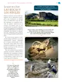 Miniatura página 20 de Nuestros saberes: México, grandeza y diversidad.   Libro de Educación Primaria Grado 4°  Ciclo Escolar 2025 - 2026