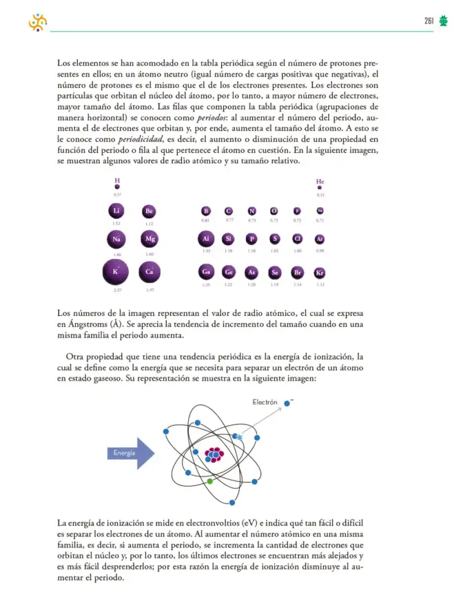 Página 262 de Colección Nanahuatzin. Saberes y pensamiento científico. Libro de Educación Telesecundaria Grado 3° Ciclo Escolar 2025 - 2026