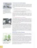 Miniatura página 143 de Ciencias Naturales 8° · Egb 8 Ciencias Naturales 2025 · 2025