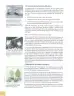 Miniatura página 143 de Ciencias Naturales 8° · Egb 8 Ciencias Naturales 2025 · 2025