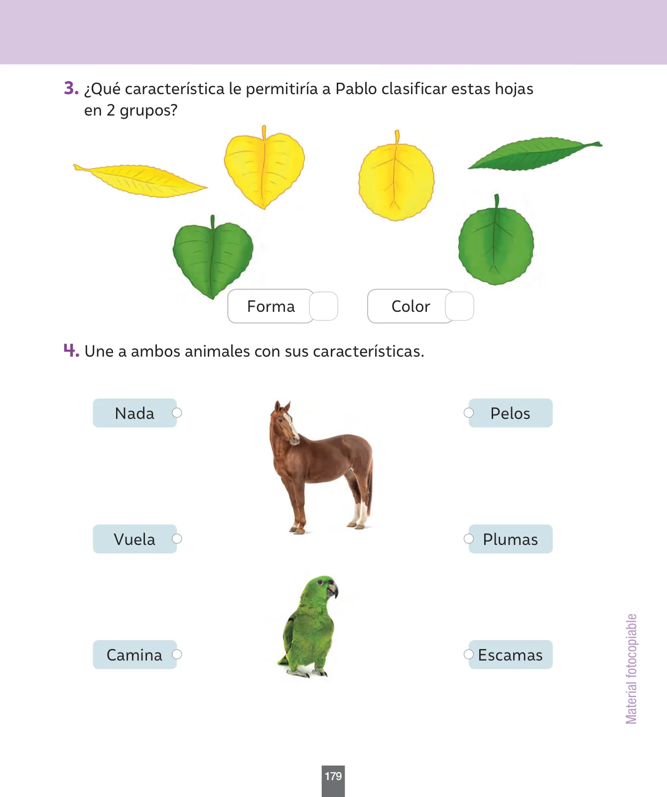 Miniatura página 180 de Ciencias Naturales – Primero Básico | Texto del Estudiante (MINEDUC) – Descargar PDF · 2024