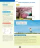Miniatura página 93 de Ciencias Naturales – Primero Básico | Texto del Estudiante (MINEDUC) – Descargar PDF · 2024