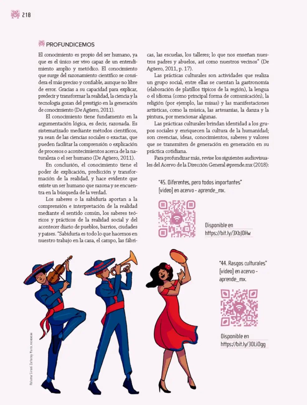 Página 219