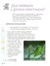 Miniatura página 105 de Proyectos Escolares.   Libro de Educación Primaria Grado 2°  Ciclo Escolar 2025 - 2026