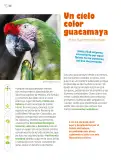 Miniatura página 167 de Múltiples lenguajes.   Libro de Educación Primaria Grado 6°  Ciclo Escolar 2025 - 2026